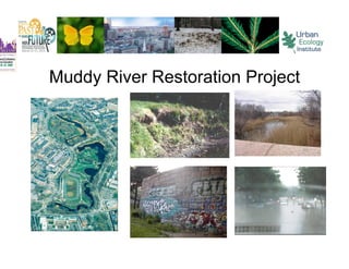 Muddy River Restoration Project
 