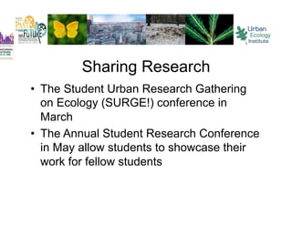 Sharing Research
•  The Student Urban Research Gathering
   on Ecology (SURGE!) conference in
   March
•  The Annual Student Research Conference
   in May allow students to showcase their
   work for fellow students
 