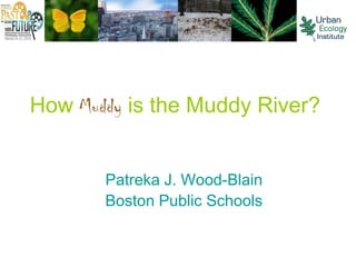 How Muddy is the Muddy River?


       Patreka J. Wood-Blain
       Boston Public Schools
 