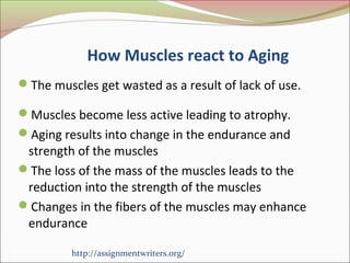 How Muscles react to Aging 
The muscles get wasted as a result of lack of use. 
Muscles become less active leading to atrophy. 
Aging results into change in the endurance and 
strength of the muscles 
The loss of the mass of the muscles leads to the 
reduction into the strength of the muscles 
Changes in the fibers of the muscles may enhance 
endurance 
http://assignmentwriters.org/ 
 