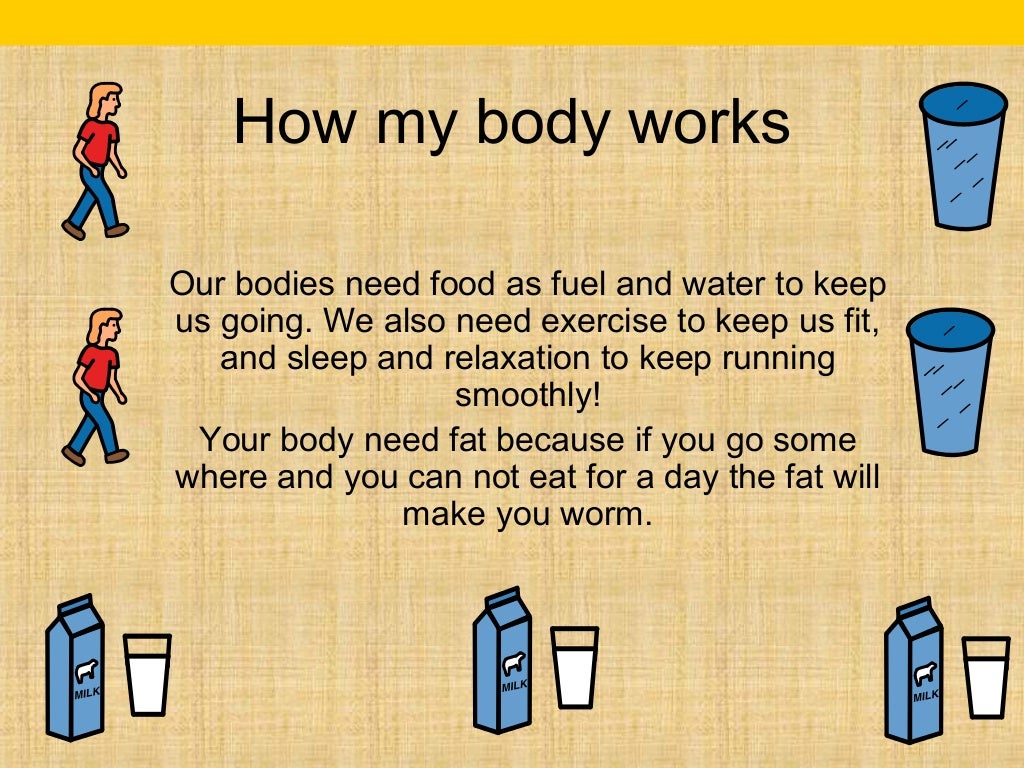 How my body works