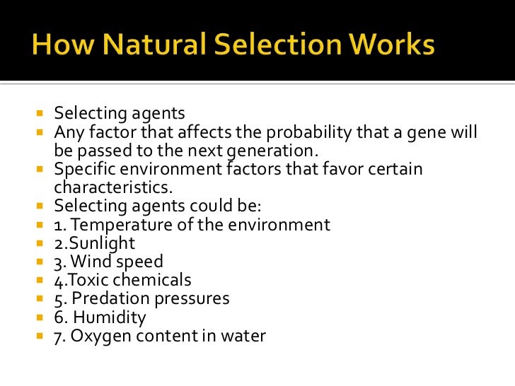 how does selection work in natural selection