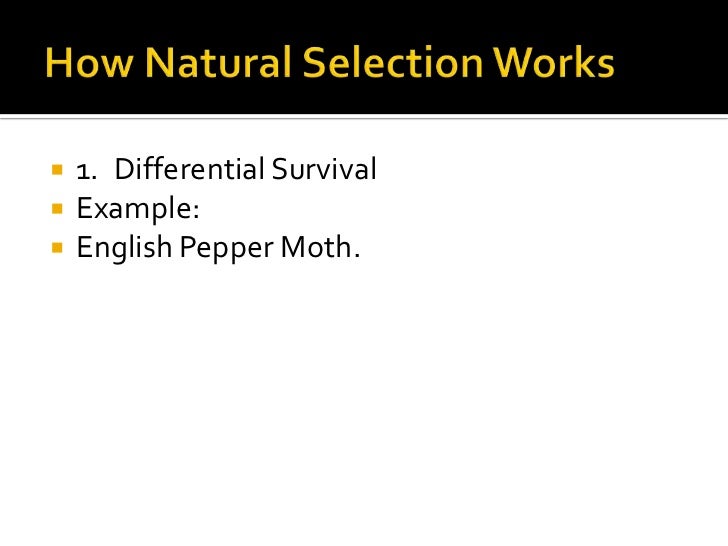 Differential Survival Natural Selection Differential Survival Natural Selection