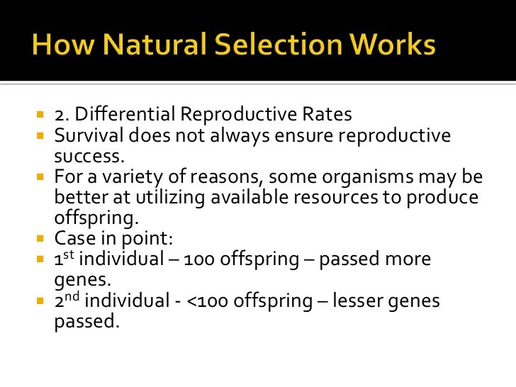 How natural selection works