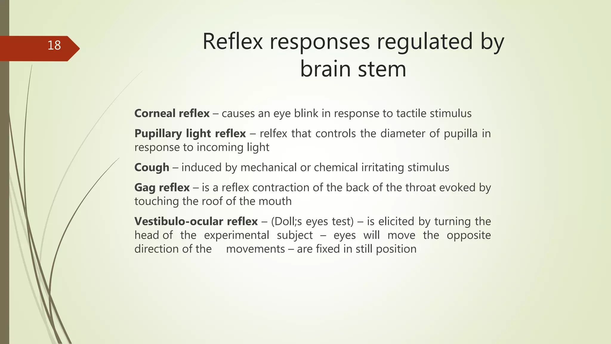 Reflex responses regulated by
brain stem
Corneal reflex – causes an eye blink in response to tactile stimulus
Pupillary light reflex – relfex that controls the diameter of pupilla in
response to incoming light
Cough – induced by mechanical or chemical irritating stimulus
Gag reflex – is a reflex contraction of the back of the throat evoked by
touching the roof of the mouth
Vestibulo-ocular reflex – (Doll;s eyes test) – is elicited by turning the
head of the experimental subject – eyes will move the opposite
direction of the movements – are fixed in still position
18
 