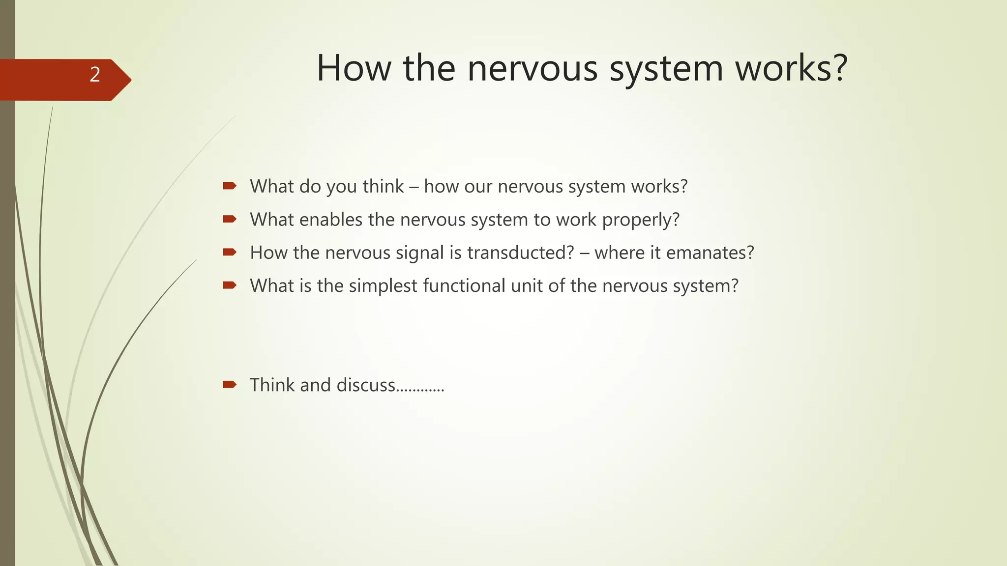 How the nervous system works?
 What do you think – how our nervous system works?
 What enables the nervous system to work properly?
 How the nervous signal is transducted? – where it emanates?
 What is the simplest functional unit of the nervous system?
 Think and discuss............
2
 
