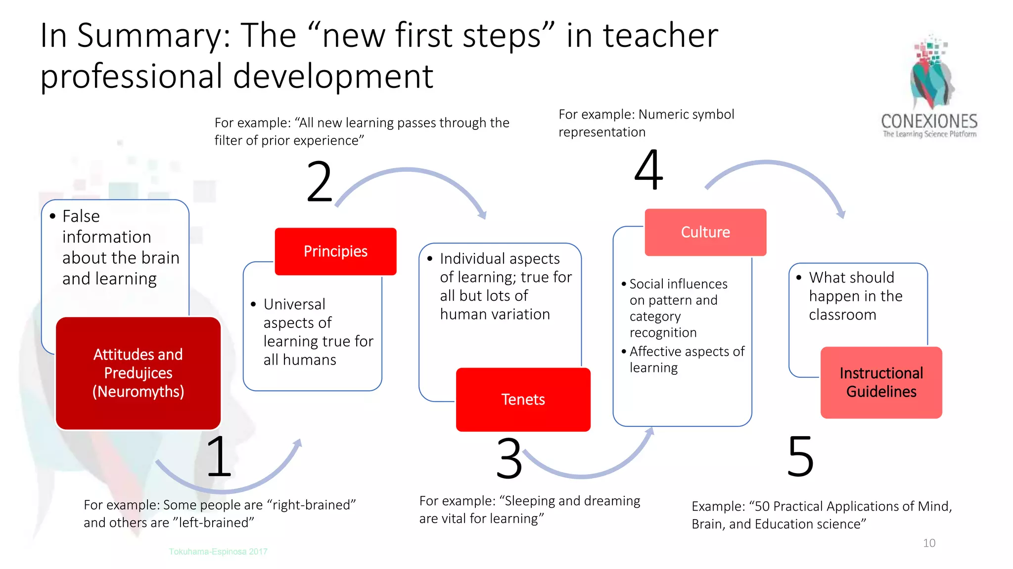 • False
information
about the brain
and learning
Attitudes and
Predujices
(Neuromyths)
• Universal
aspects of
learning true for
all humans
Principies • Individual aspects
of learning; true for
all but lots of
human variation
Tenets
•Social influences
on pattern and
category
recognition
•Affective aspects of
learning
Culture
• What should
happen in the
classroom
Instructional
Guidelines
In Summary: The “new first steps” in teacher
professional development
10
Tokuhama-Espinosa 2017
1
2
3
4
5
For example: Some people are “right-brained”
and others are ”left-brained”
For example: “All new learning passes through the
filter of prior experience”
For example: “Sleeping and dreaming
are vital for learning”
For example: Numeric symbol
representation
Example: “50 Practical Applications of Mind,
Brain, and Education science”
 