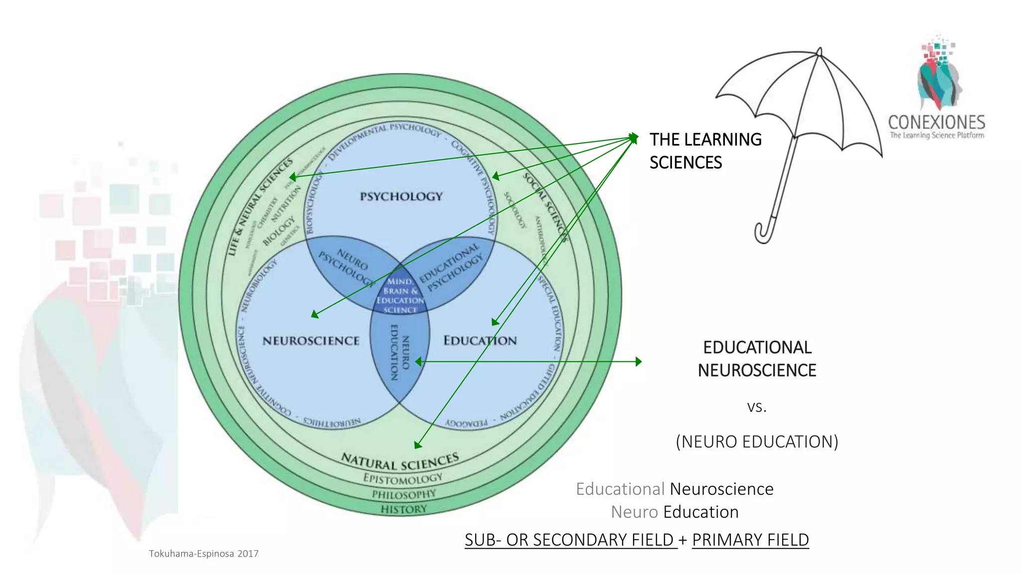 EDUCATIONAL
NEUROSCIENCE
vs.
(NEURO EDUCATION)
THE LEARNING
SCIENCES
SUB- OR SECONDARY FIELD + PRIMARY FIELD
Educational Neuroscience
Neuro Education
Tokuhama-Espinosa 2017
 