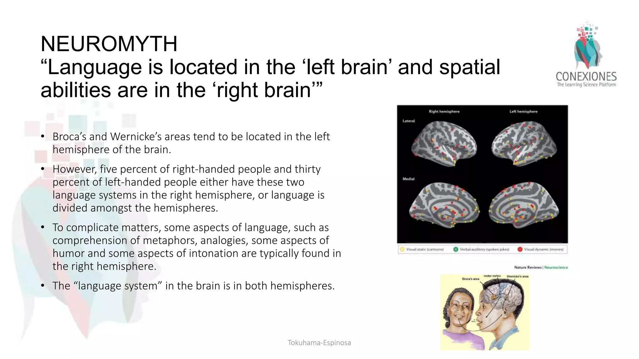 NEUROMYTH
“Language is located in the ‘left brain’ and spatial
abilities are in the ‘right brain’”
• Broca’s and Wernicke’s areas tend to be located in the left
hemisphere of the brain.
• However, five percent of right-handed people and thirty
percent of left-handed people either have these two
language systems in the right hemisphere, or language is
divided amongst the hemispheres.
• To complicate matters, some aspects of language, such as
comprehension of metaphors, analogies, some aspects of
humor and some aspects of intonation are typically found in
the right hemisphere.
• The “language system” in the brain is in both hemispheres.
Tokuhama-Espinosa
 