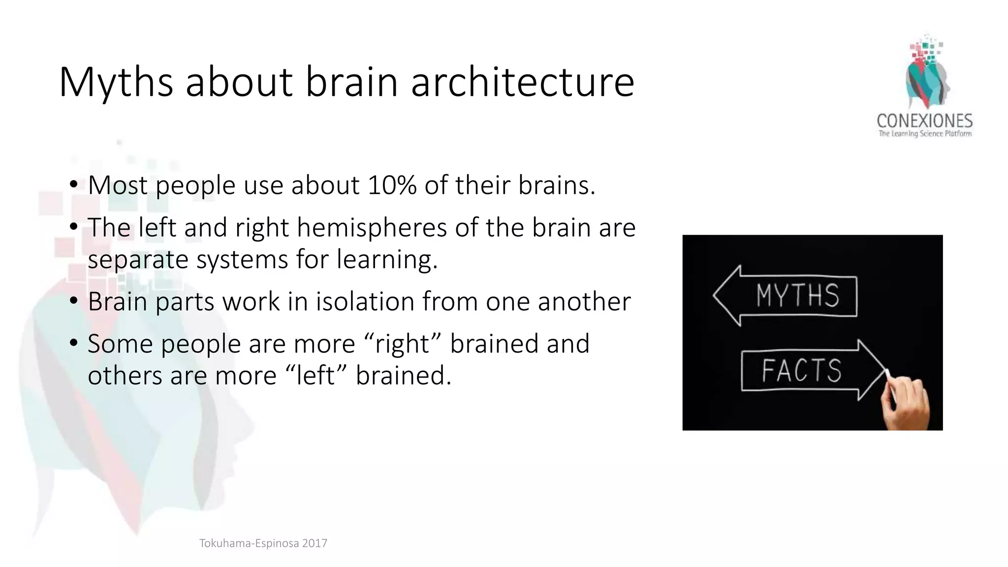 Myths about brain architecture
• Most people use about 10% of their brains.
• The left and right hemispheres of the brain are
separate systems for learning.
• Brain parts work in isolation from one another
• Some people are more “right” brained and
others are more “left” brained.
Tokuhama-Espinosa 2017
 