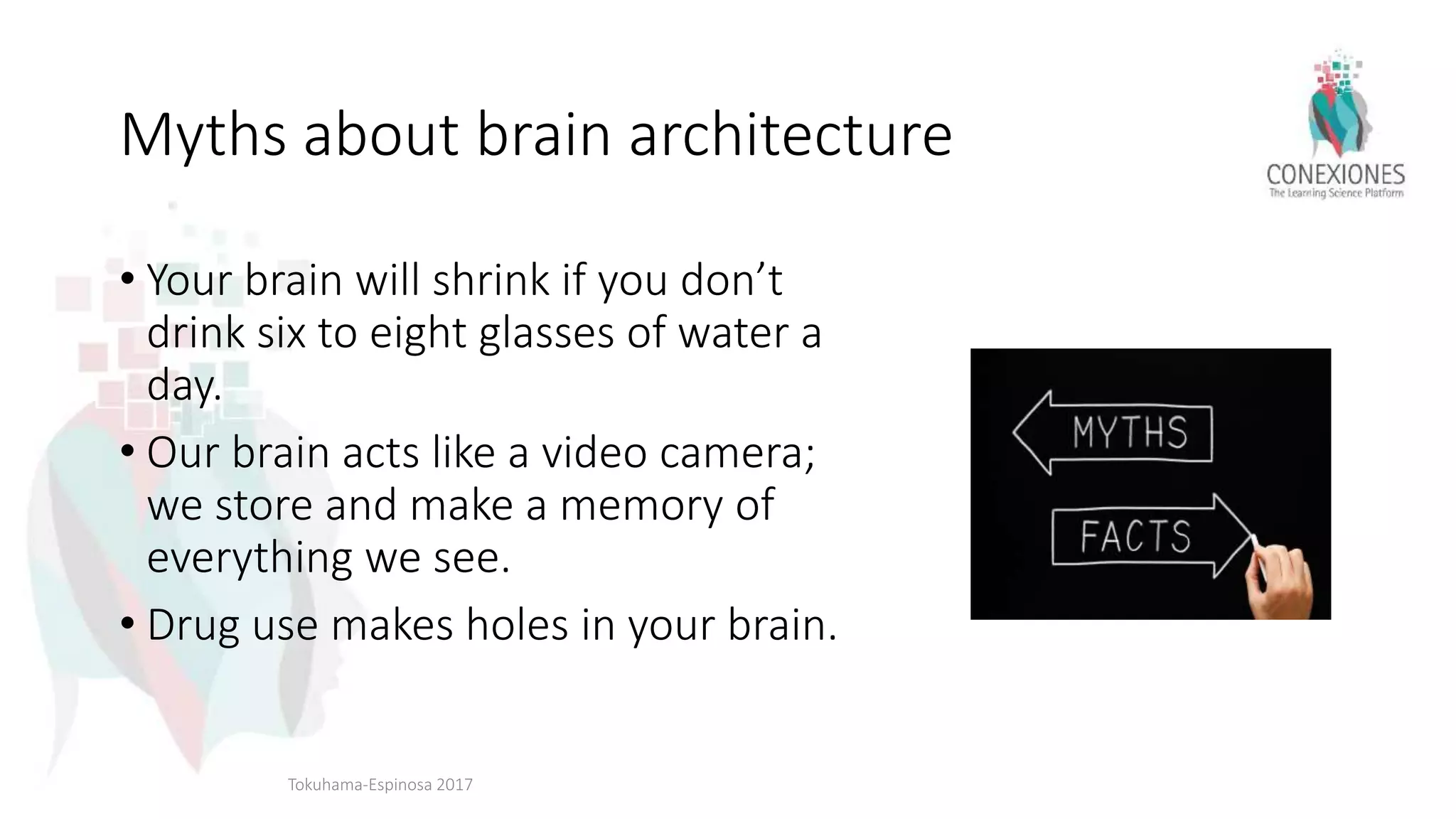Myths about brain architecture
• Your brain will shrink if you don’t
drink six to eight glasses of water a
day.
• Our brain acts like a video camera;
we store and make a memory of
everything we see.
• Drug use makes holes in your brain.
Tokuhama-Espinosa 2017
 