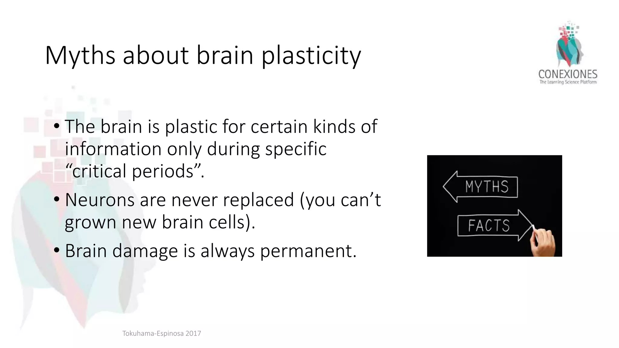 Myths about brain plasticity
• The brain is plastic for certain kinds of
information only during specific
“critical periods”.
• Neurons are never replaced (you can’t
grown new brain cells).
• Brain damage is always permanent.
Tokuhama-Espinosa 2017
 