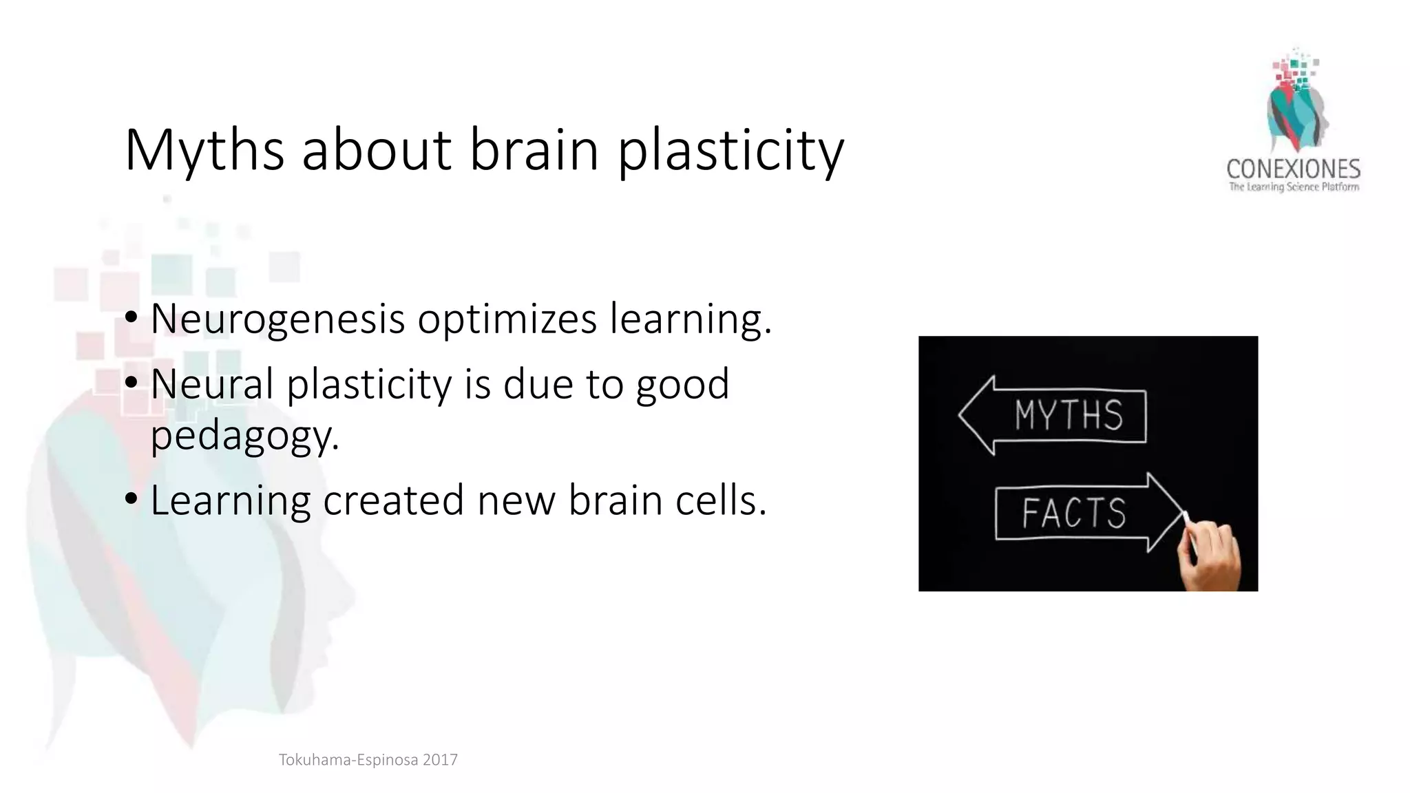 Myths about brain plasticity
• Neurogenesis optimizes learning.
• Neural plasticity is due to good
pedagogy.
• Learning created new brain cells.
Tokuhama-Espinosa 2017
 