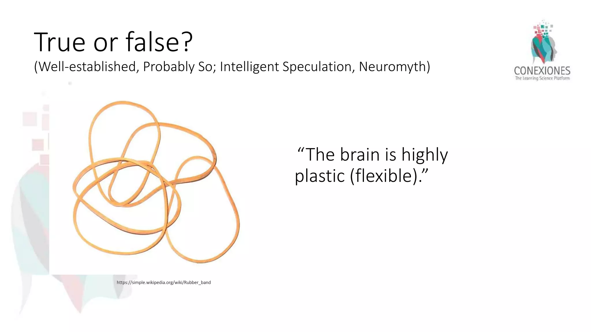 True or false?
(Well-established, Probably So; Intelligent Speculation, Neuromyth)
“The brain is highly
plastic (flexible).”
https://simple.wikipedia.org/wiki/Rubber_band
 