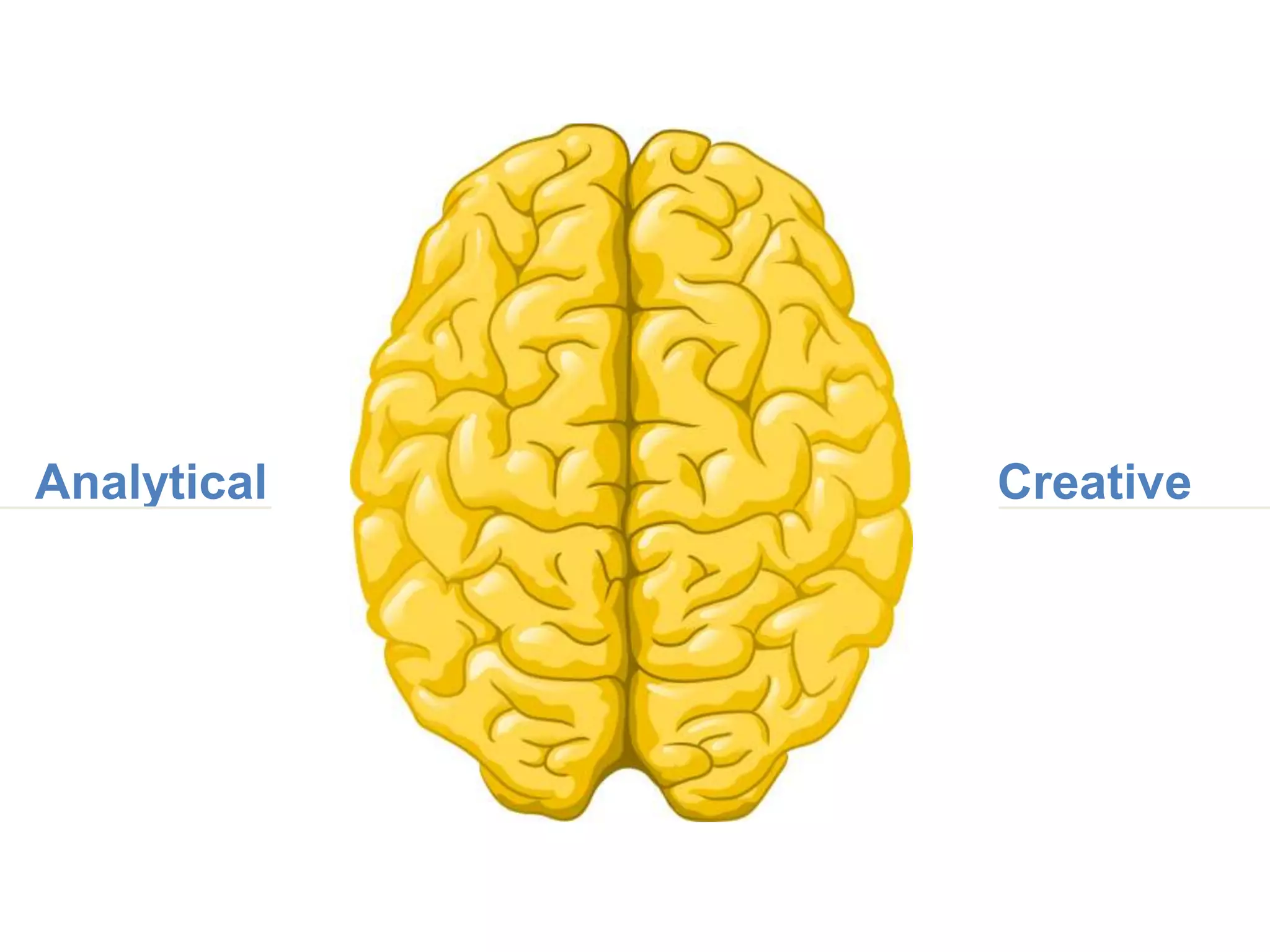 When predators were introduced by humans in the 1840’s, it did
what had always saved it in the past...

…it reproduced less and less frequently.


             Sirocco the Kakapo from Department of Conservation on Flickr
 