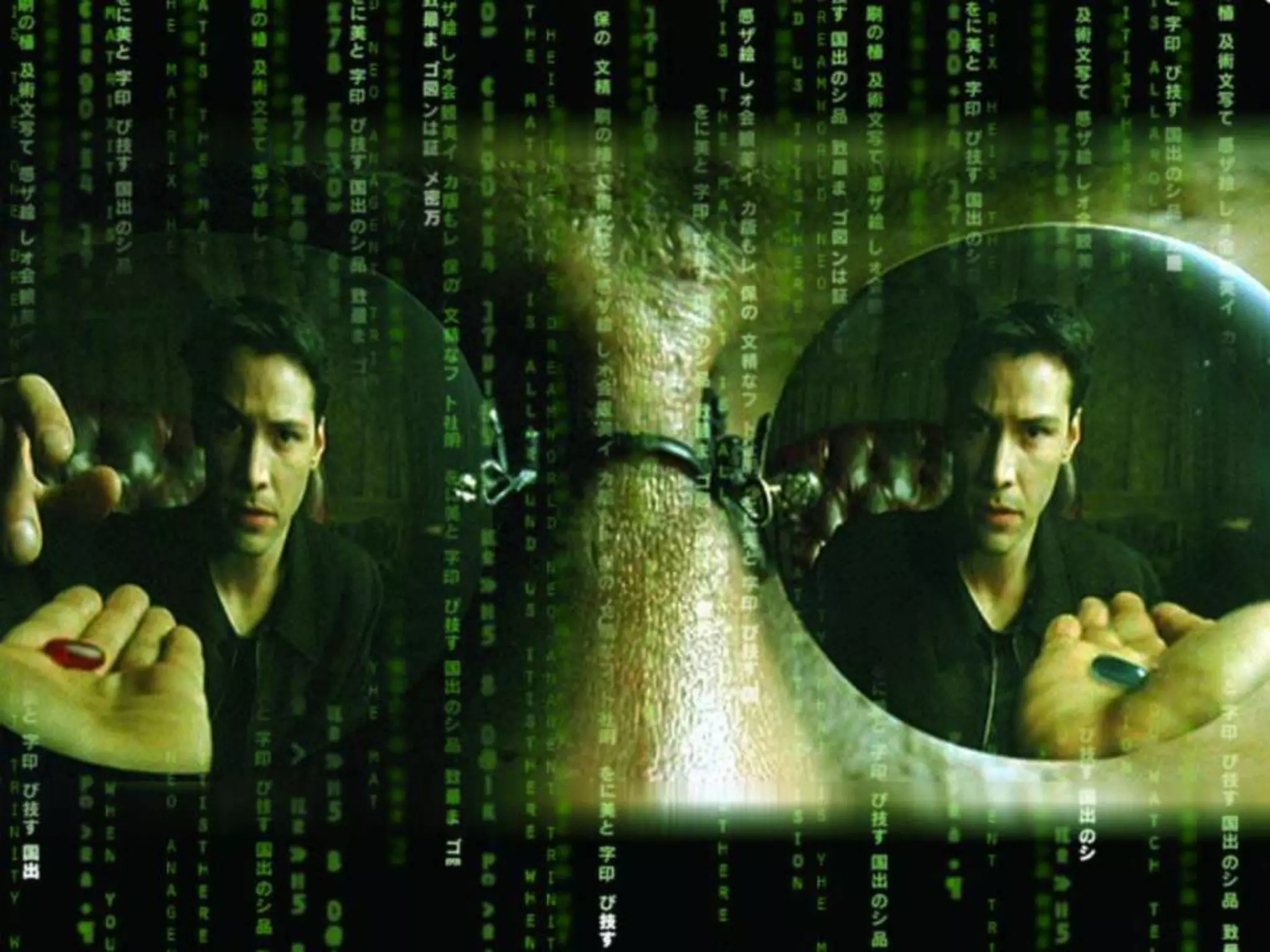 Businesses do the same thing when their environment changes…

…they do the same things that always worked in the past.

(which makes them suck at social media)

             Sirocco the Kakapo from Department of Conservation on Flickr
 