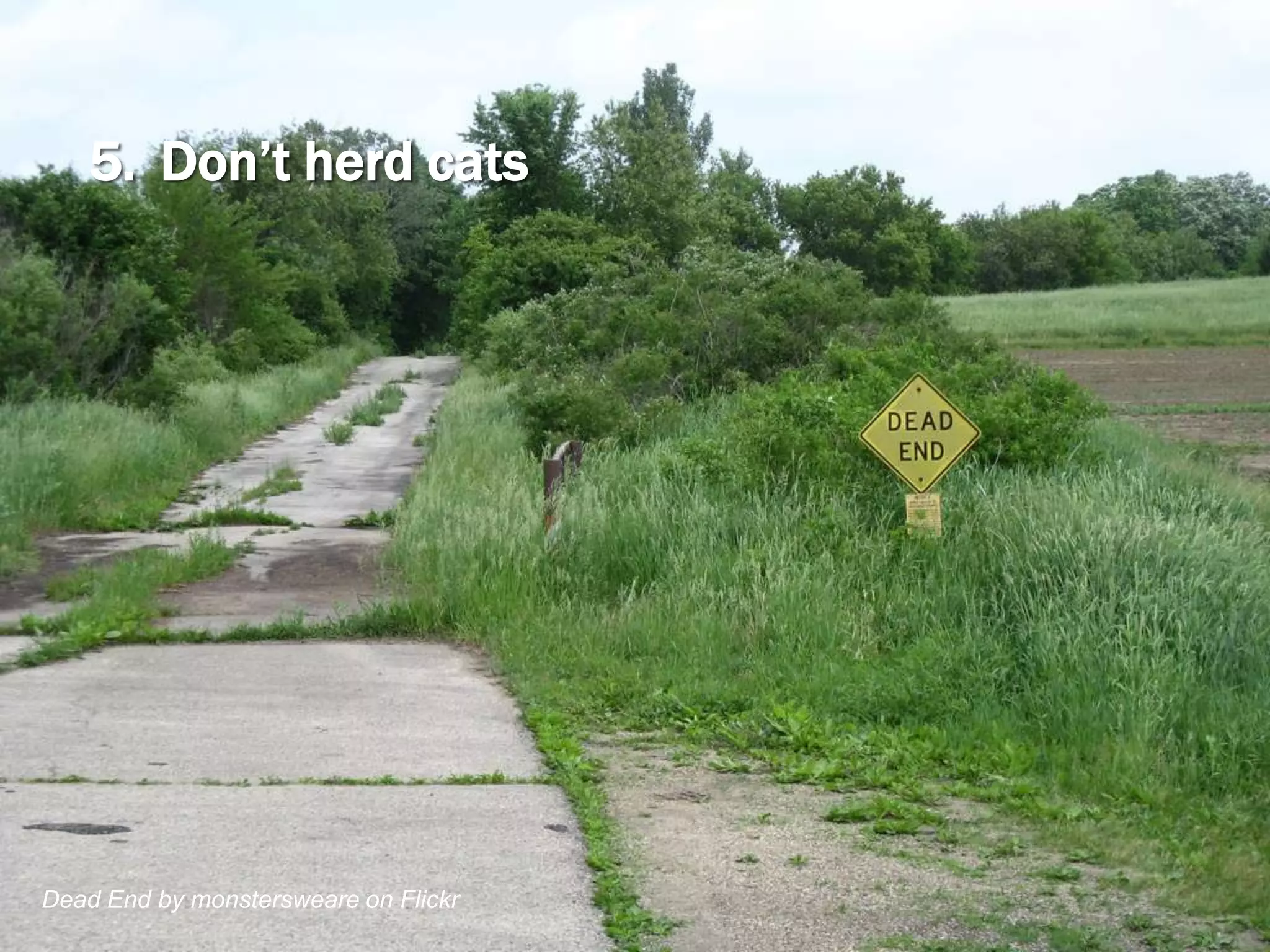 Companies must escape from the Matrix.
 