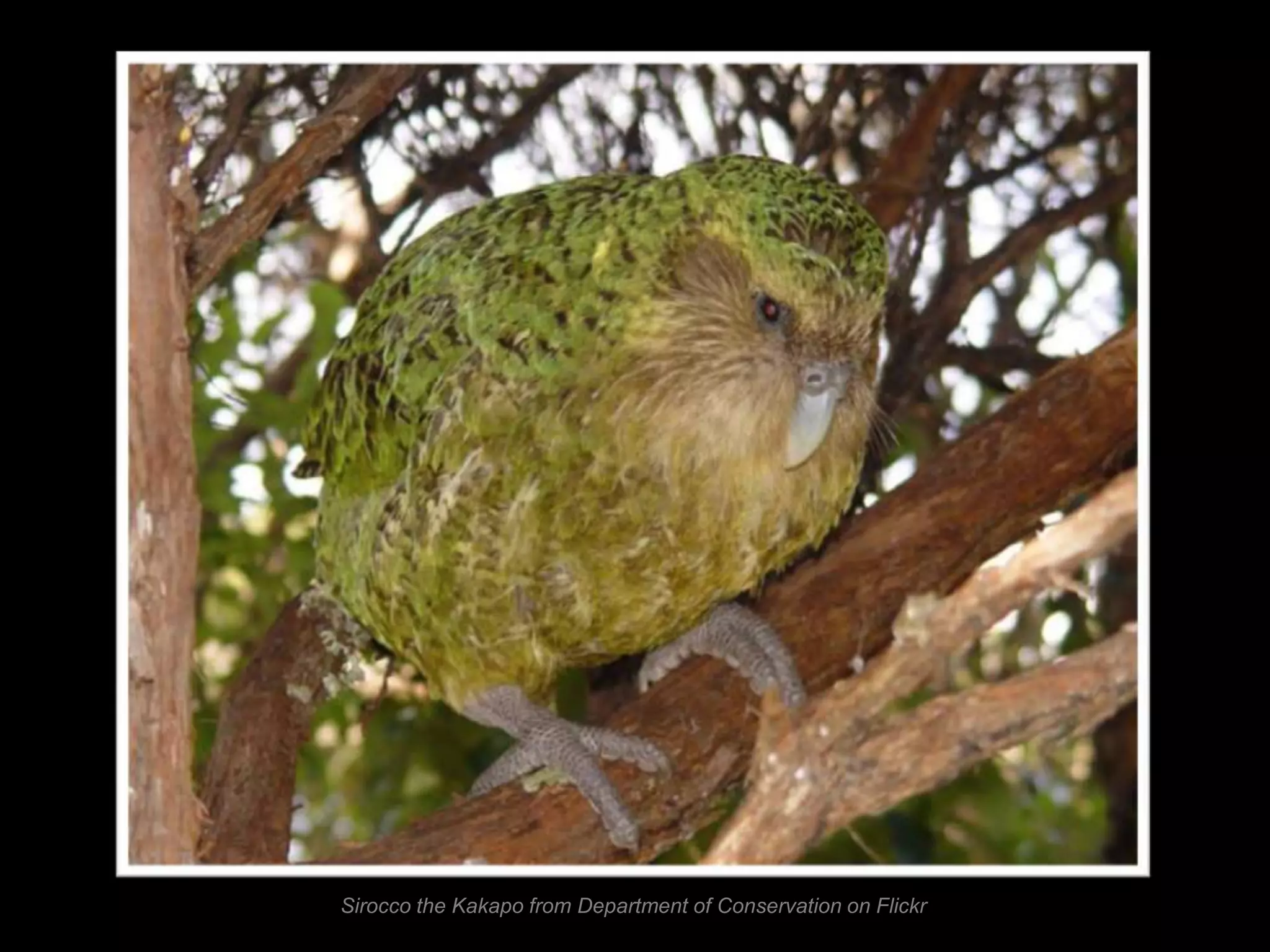 Engineers are
left-brained.

Information processing =
verbal and sequential
 