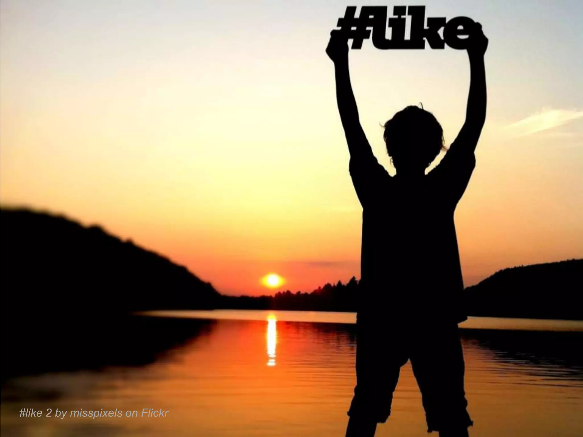 Problem #2: The Kakapo Parrot




                 Sirocco the Kakapo from Department of Conservation on Flickr
 