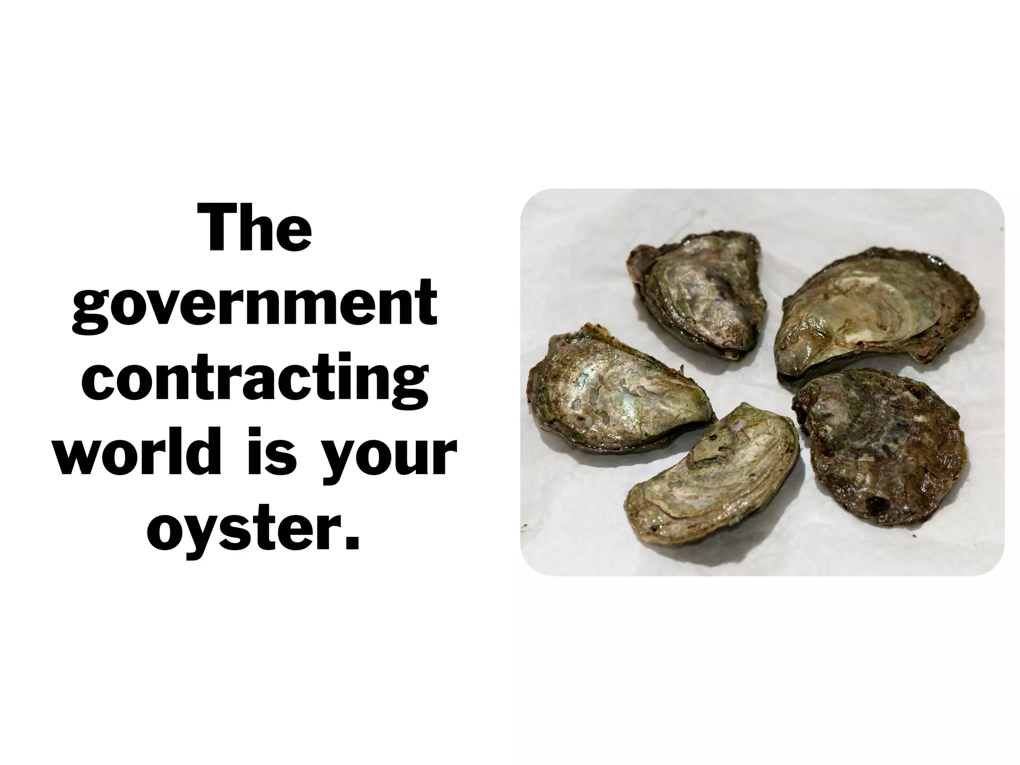 The
government
contracting
world is your
oyster.
 