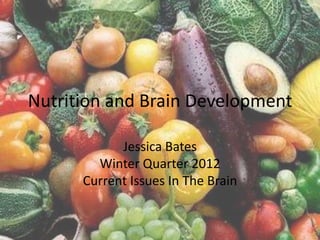 Nutrition and Brain Development

            Jessica Bates
        Winter Quarter 2012
      Current Issues In The Brain
 