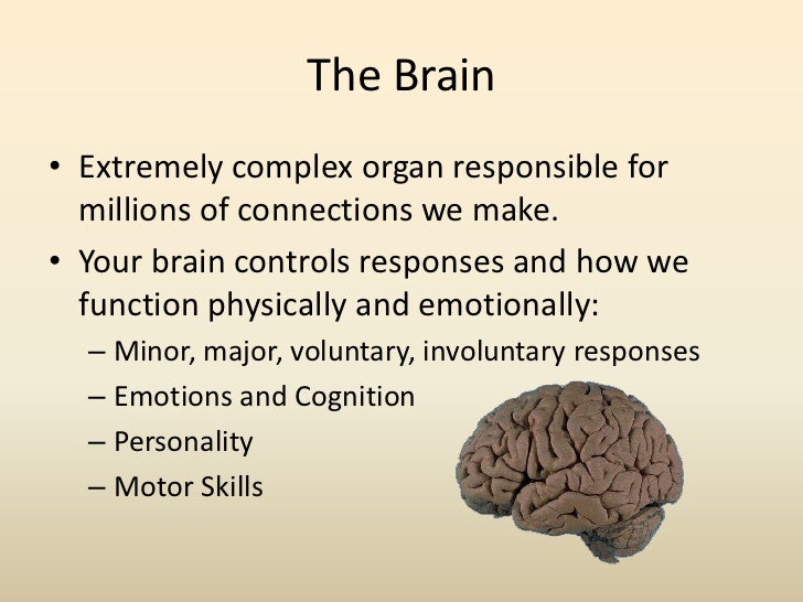 Herbal supplements for brain function photo 1