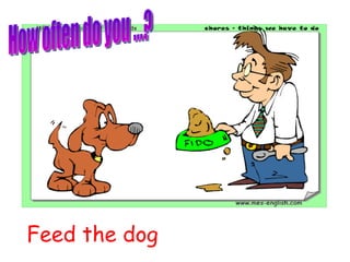 Feed the dog How often do you ...? 