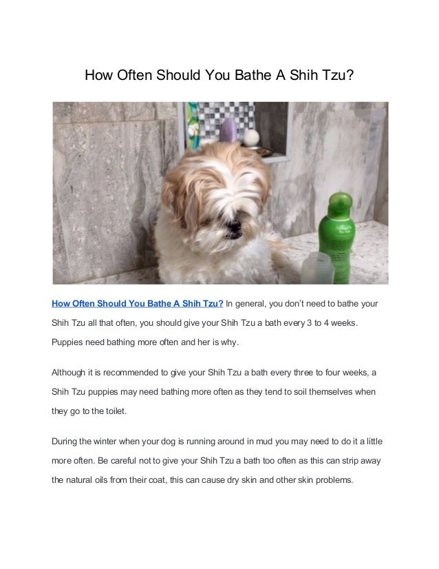 how to bathe a shih tzu puppy