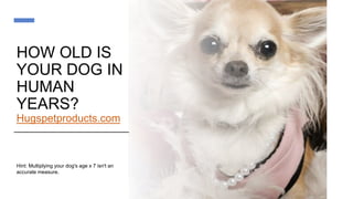 HOW OLD IS
YOUR DOG IN
HUMAN
YEARS?
Hugspetproducts.com
Hint: Multiplying your dog's age x 7 isn't an
accurate measure.
 