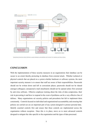 How Organizations can Secure Their Database From External Attacks | PDF