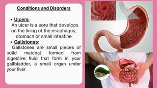 How Our Digestive System Works? It's organs- the mouth, esophagus ...