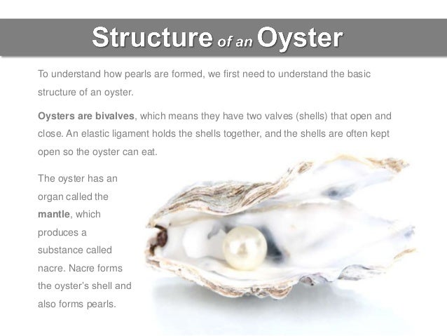 how oysters make pearls how do pearls form in oysters