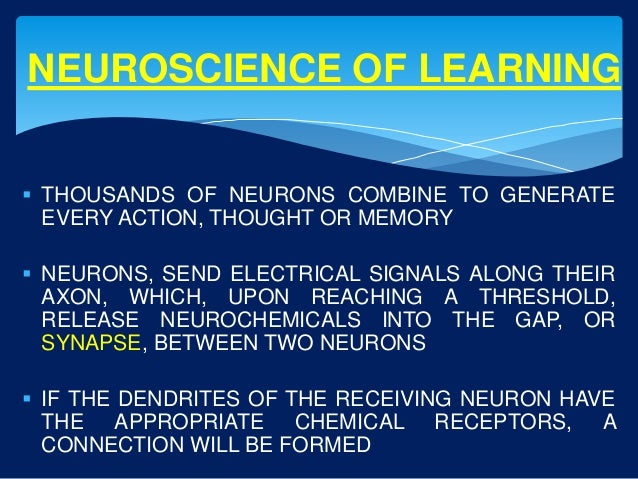 How people learn-The Neuroscience of Learning