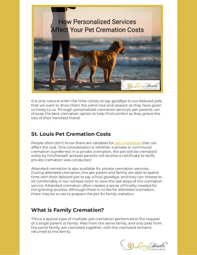 How Personalized Services Affect Your Pet Cremation Costs