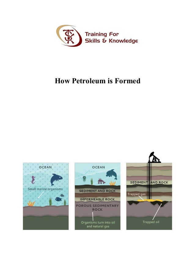 How petroleum is formed