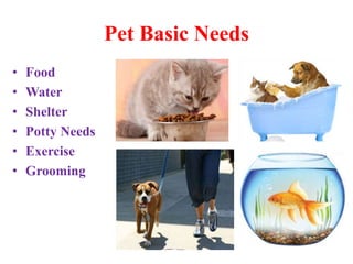 How pets are taken care of | PPTX