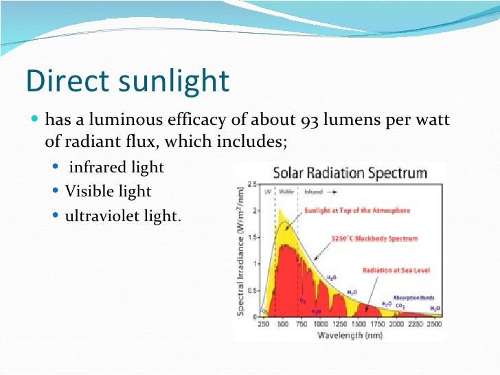 How plant absorb sunlight