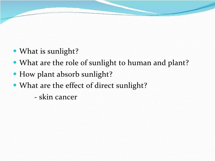 How plant absorb sunlight