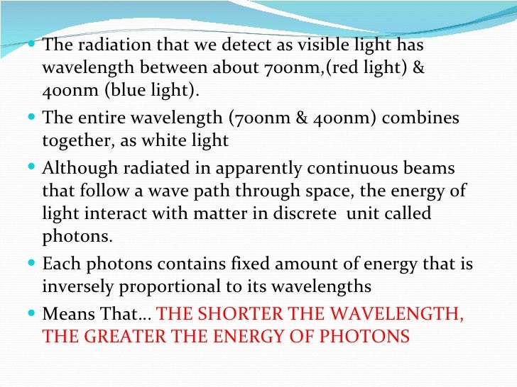 How plant absorb sunlight