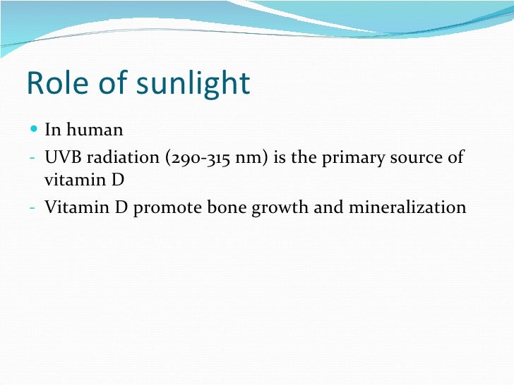 How plant absorb sunlight