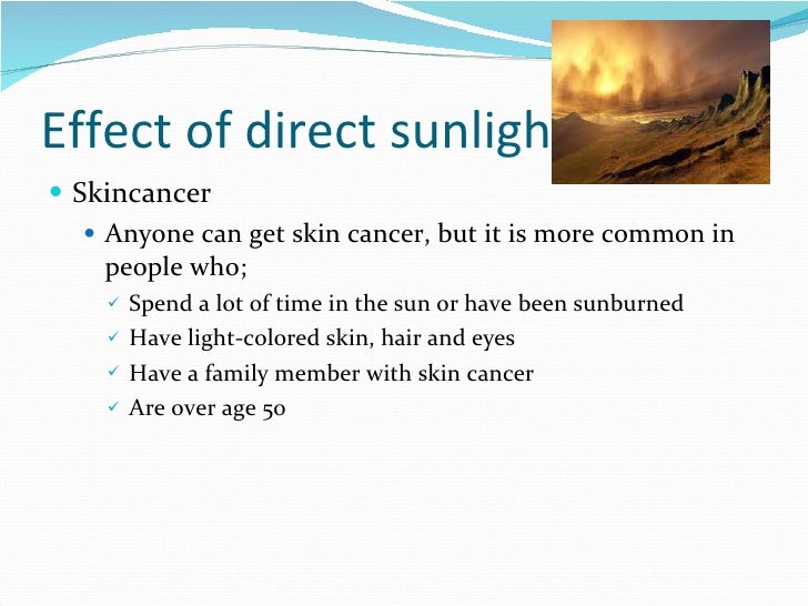 How plant absorb sunlight