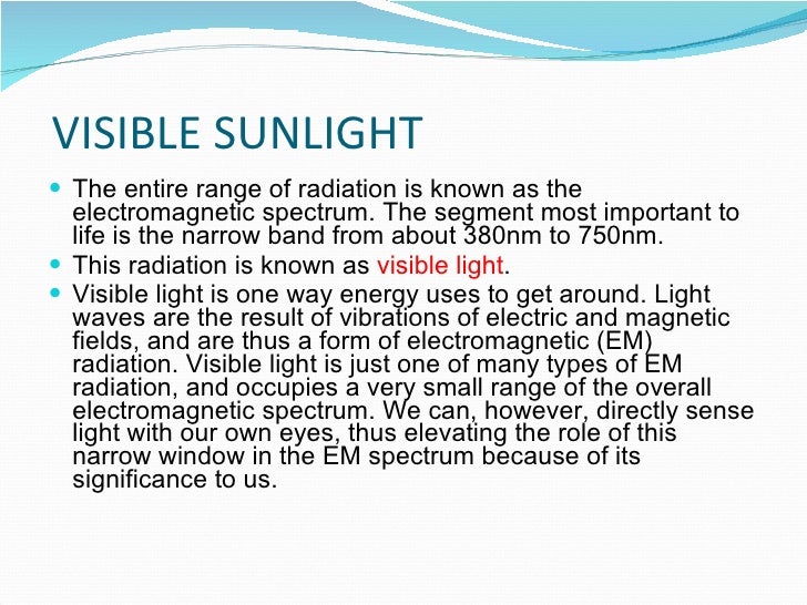 How plant absorb sunlight