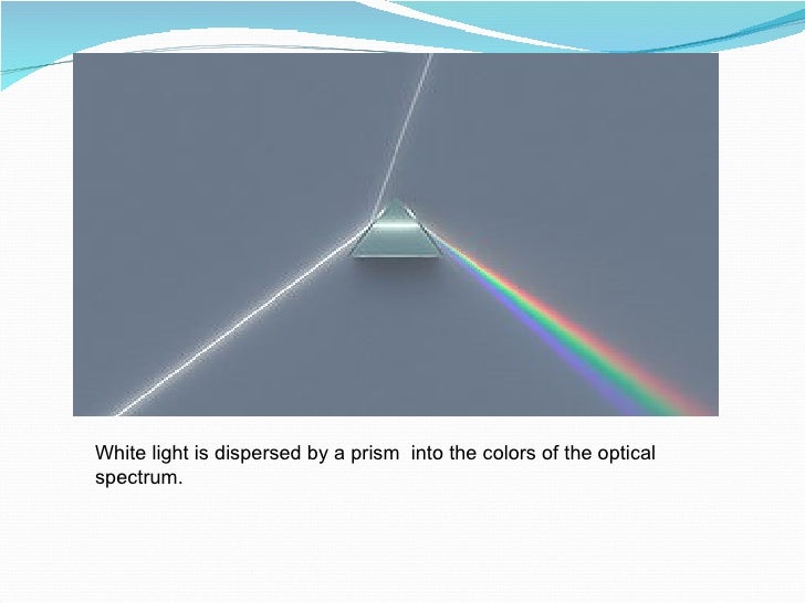How plant absorb sunlight