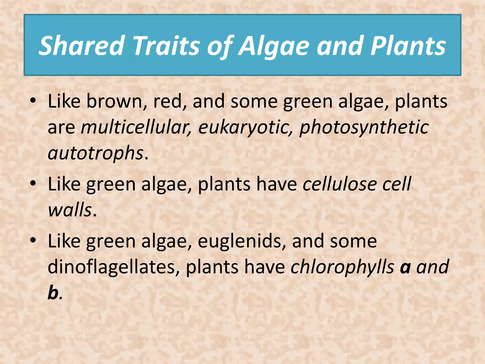 Shared Traits of Algae and Plants 
• Like brown, red, and some green algae, plants 
are multicellular, eukaryotic, photosynthetic 
autotrophs. 
• Like green algae, plants have cellulose cell 
walls. 
• Like green algae, euglenids, and some 
dinoflagellates, plants have chlorophylls a and 
b. 
 