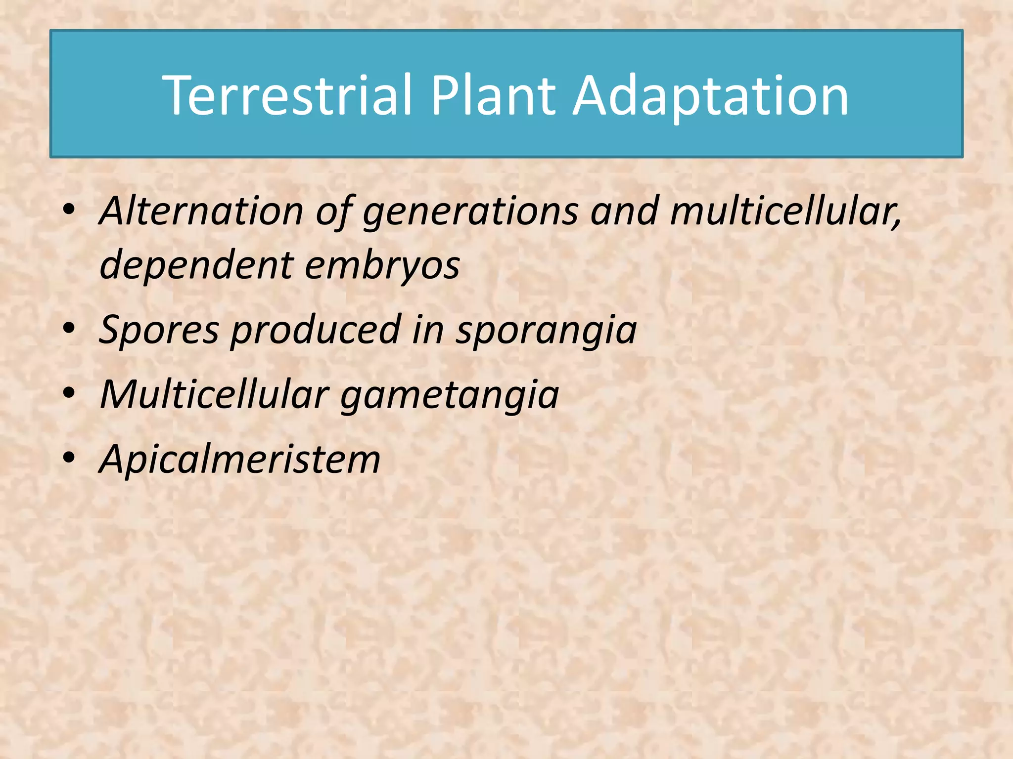 Terrestrial Plant Adaptation 
• Alternation of generations and multicellular, 
dependent embryos 
• Spores produced in sporangia 
• Multicellular gametangia 
• Apicalmeristem 
 