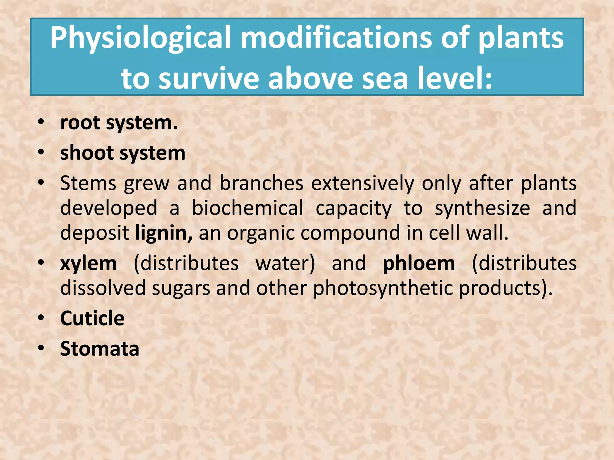 Physiological modifications of plants 
to survive above sea level: 
• root system. 
• shoot system 
• Stems grew and branches extensively only after plants 
developed a biochemical capacity to synthesize and 
deposit lignin, an organic compound in cell wall. 
• xylem (distributes water) and phloem (distributes 
dissolved sugars and other photosynthetic products). 
• Cuticle 
• Stomata 
 
