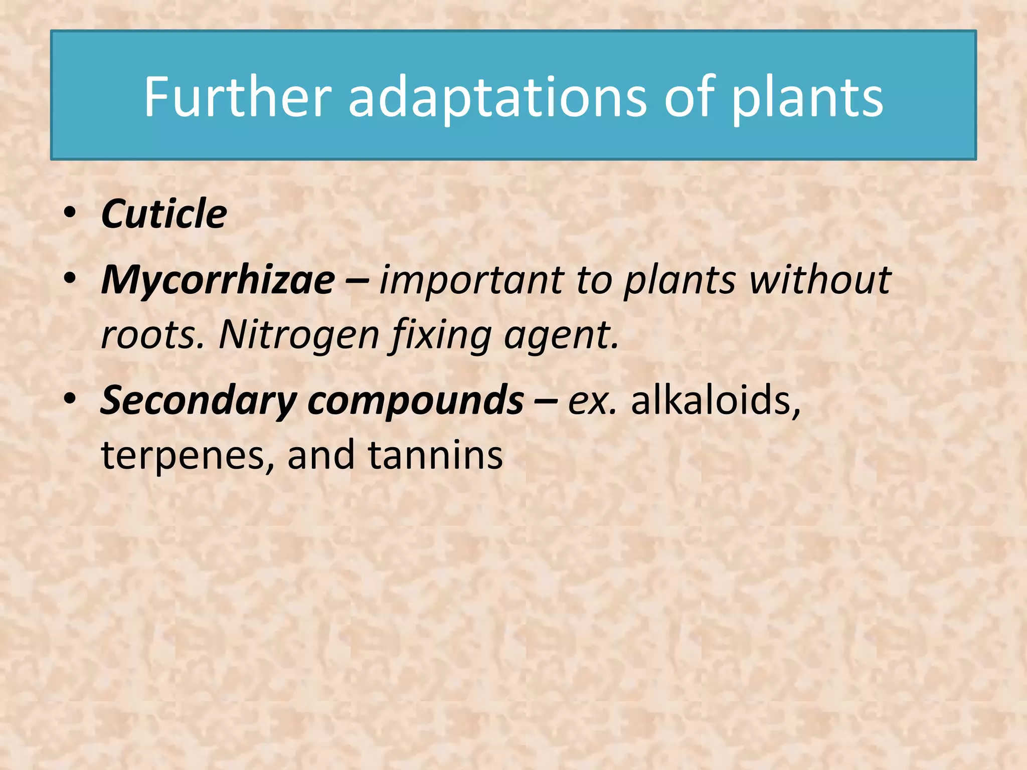 Further adaptations of plants 
• Cuticle 
• Mycorrhizae – important to plants without 
roots. Nitrogen fixing agent. 
• Secondary compounds – ex. alkaloids, 
terpenes, and tannins 
 