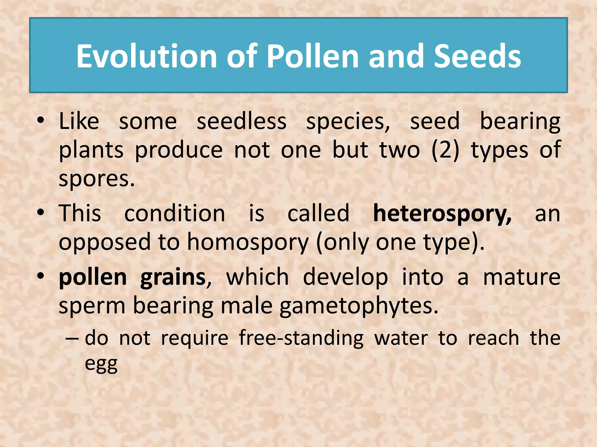 Evolution of Pollen and Seeds 
• Like some seedless species, seed bearing 
plants produce not one but two (2) types of 
spores. 
• This condition is called heterospory, an 
opposed to homospory (only one type). 
• pollen grains, which develop into a mature 
sperm bearing male gametophytes. 
– do not require free-standing water to reach the 
egg 
 