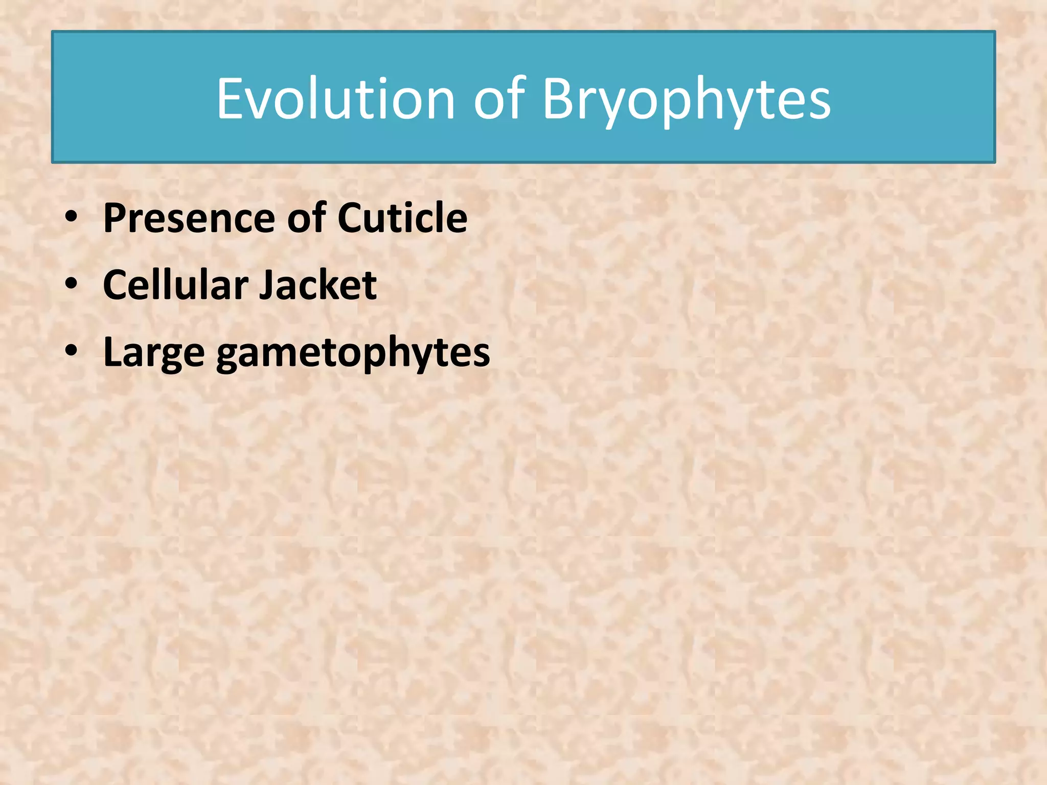 Evolution of Bryophytes 
• Presence of Cuticle 
• Cellular Jacket 
• Large gametophytes 
 
