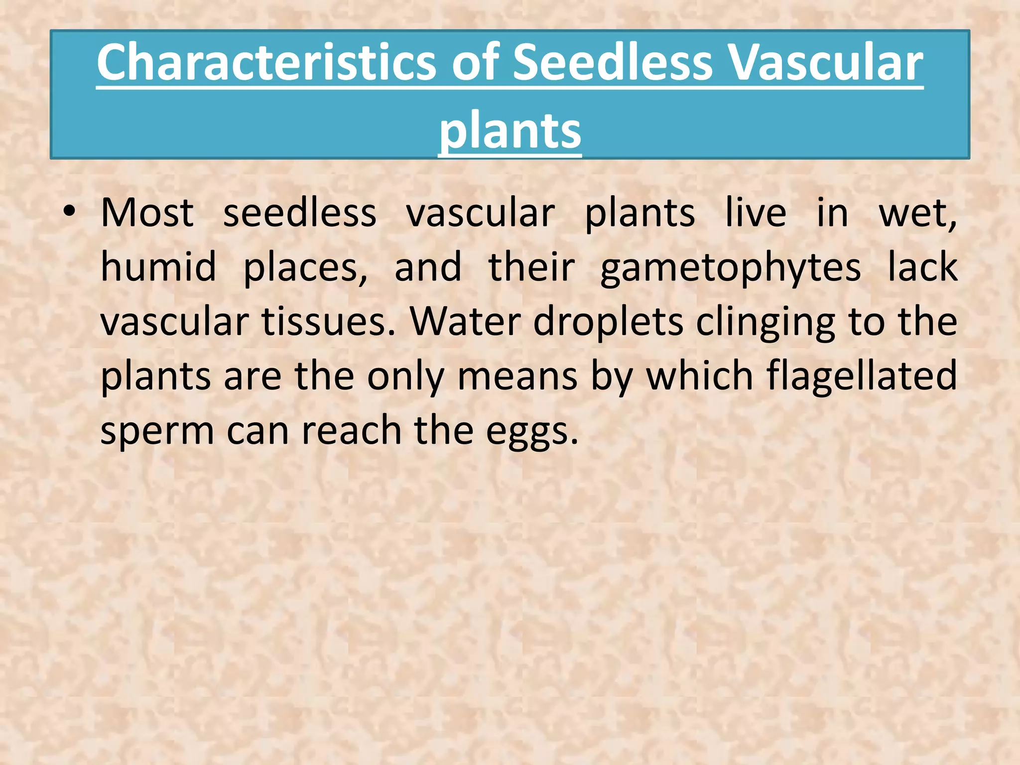 Characteristics of Seedless Vascular 
plants 
• Most seedless vascular plants live in wet, 
humid places, and their gametophytes lack 
vascular tissues. Water droplets clinging to the 
plants are the only means by which flagellated 
sperm can reach the eggs. 
 